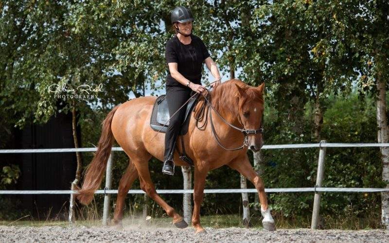 Marion van de Klundert